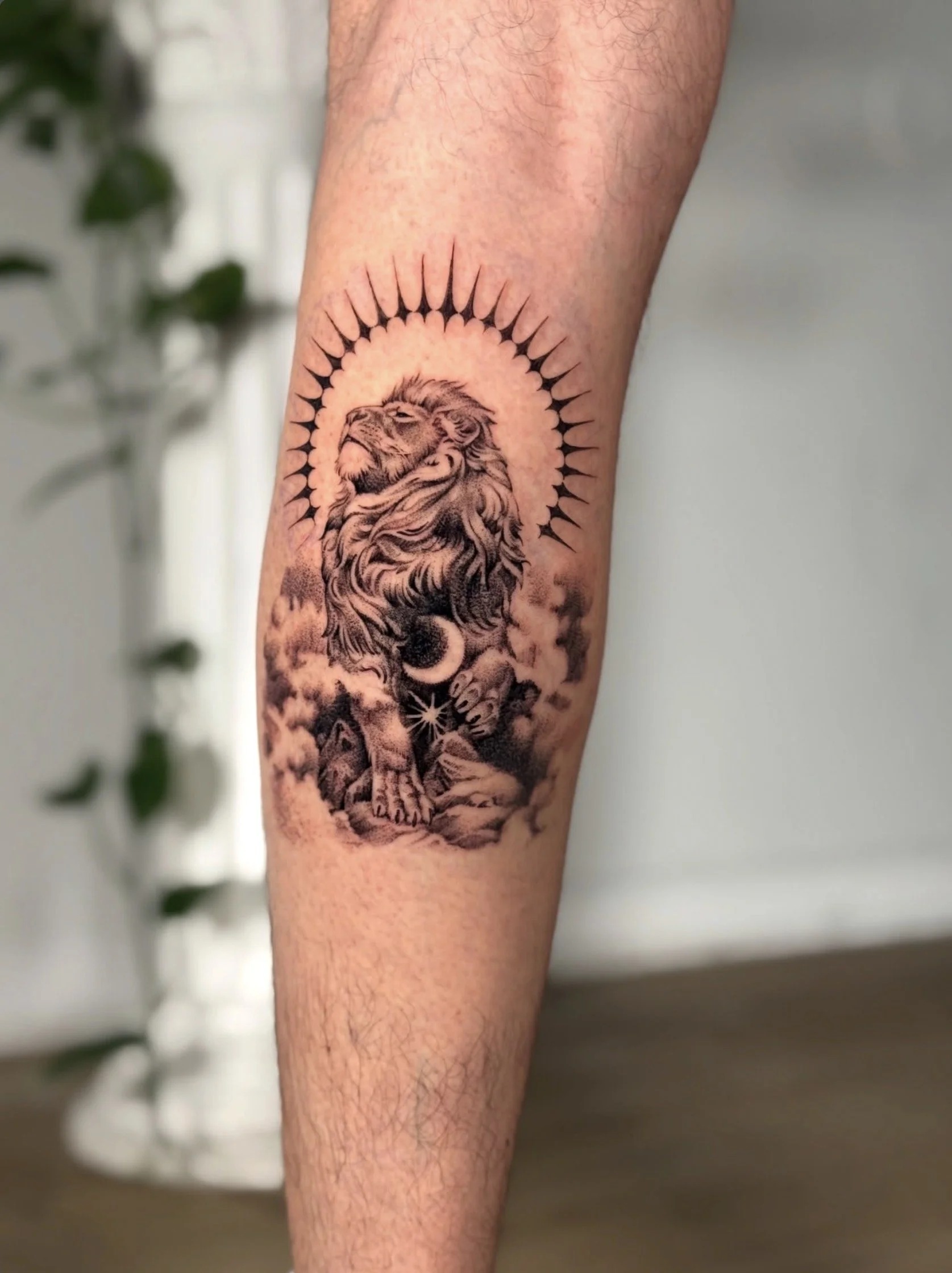 Lion sunburst tattoo